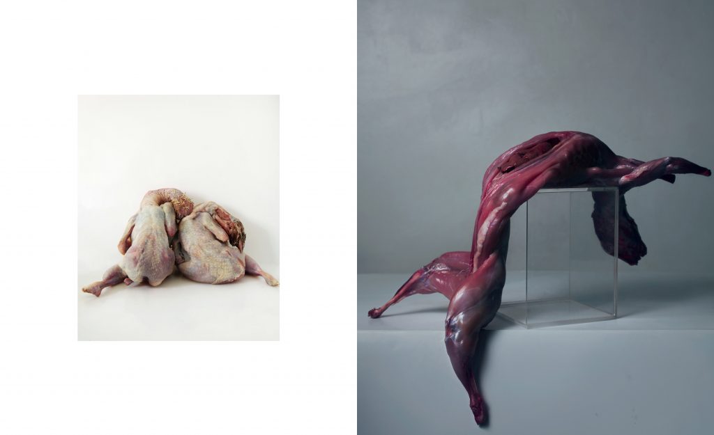 Nature morte design et minimaliste interprétation de vanités modernisées – photographie par Olivier Jeanne-Rose