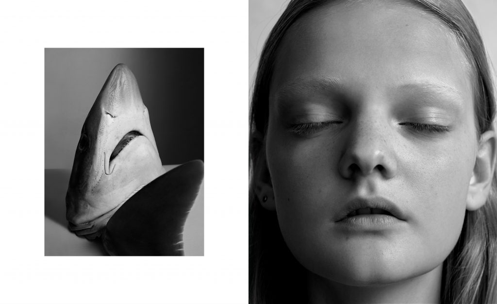 Portrait classique en noir et blanc d’une femme et vis avis d une photo de requin pour affirmer un contraste entre la douceur et le danger – photographie par Olivier Jeanne-Rose